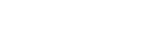 Velga Senkāne